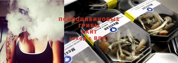 мяу мяу мука Богданович