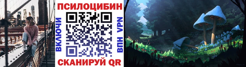 Купить закладки  Михайлов  Псилоцибиновые грибы прущие грибы 