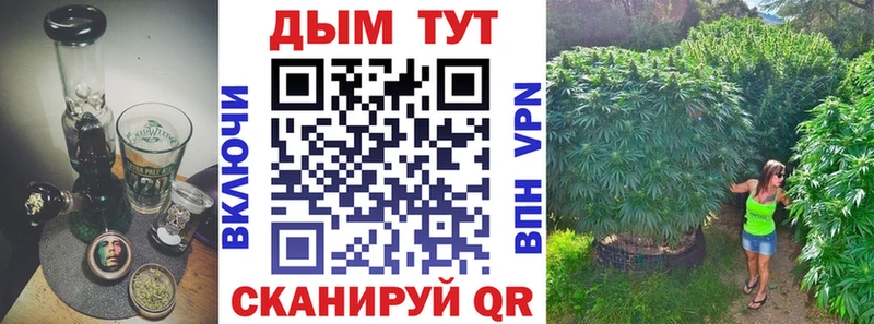 Купить закладки  Михайлов  Шишки марихуана сатива 
